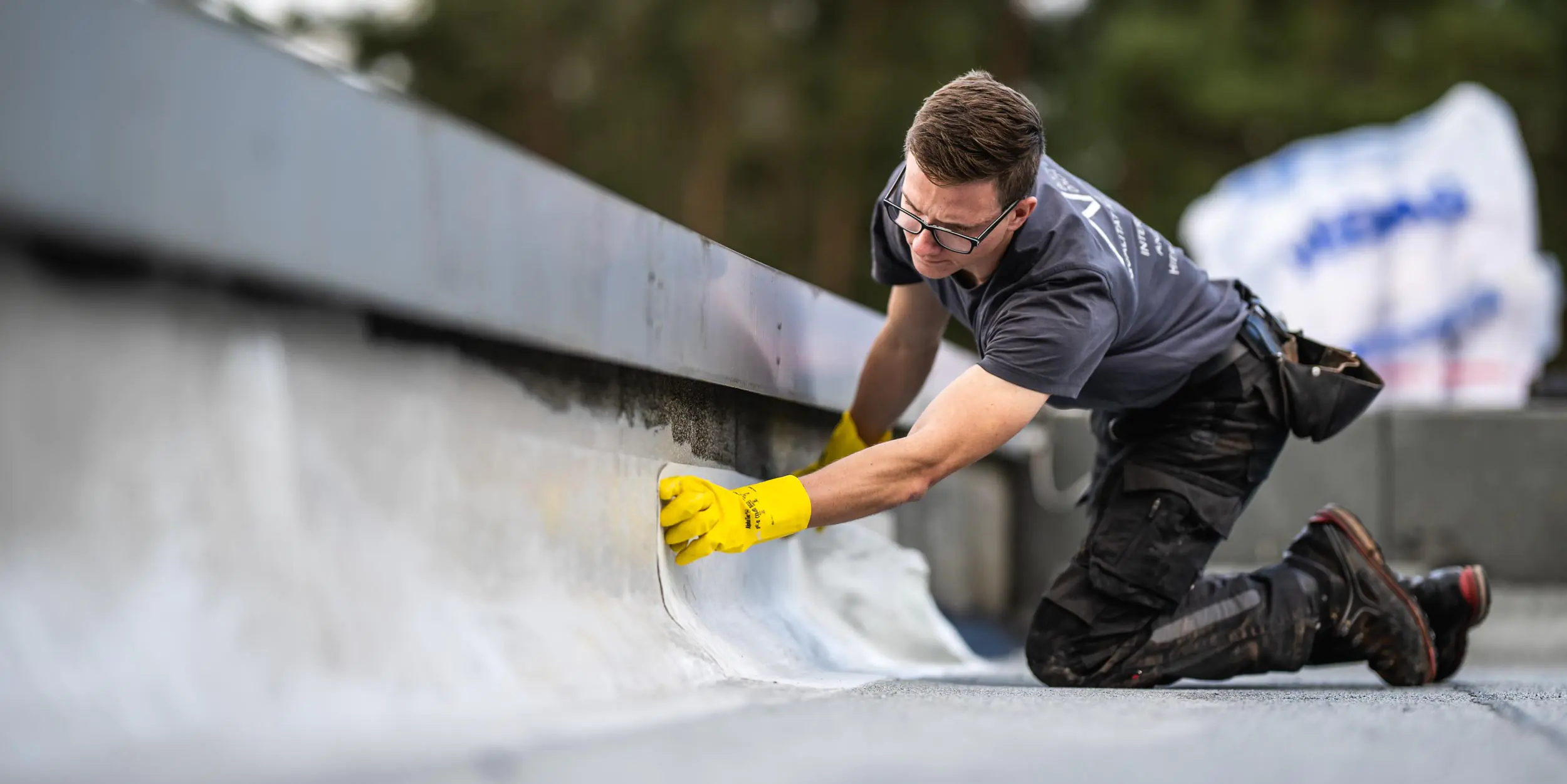 buckel dach + wand gewerbekunden flachdach gruendach sanierung