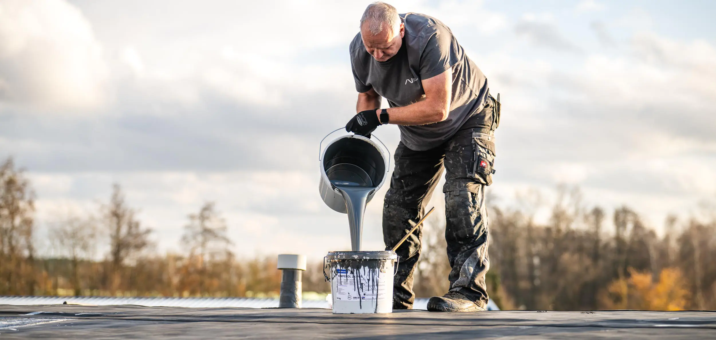 buckel dach + wand gewerbekunden flachdach gruendach reparatur